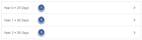 6. Example 2: Accrual Calculation Type = Rule-based